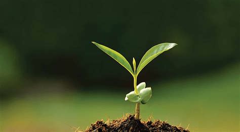 expanded  soil moisture measurement catalogue  delta