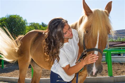 Introduction to Equine Therapeutic Massage – Rocky Mountain School of