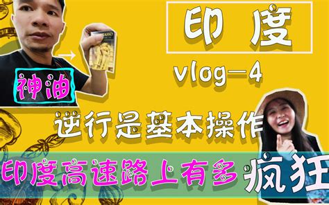 印度旅行vlog4 印度高速到底有多疯狂？？逆行，“自动驾驶”都是基本操作！！ 蕾儿乔什看世界 蕾儿乔什看世界 哔哩哔哩视频