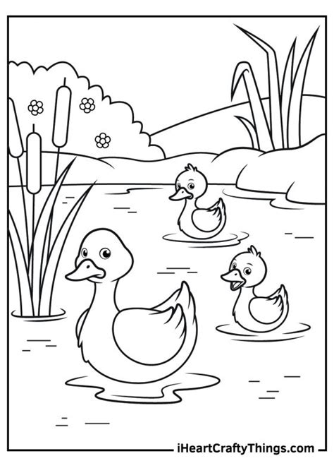 Five Little Ducks Coloring Sheet Coloring Pages