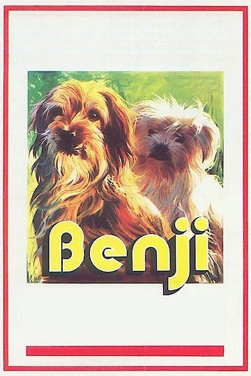 Watch Benji Online | 1974 Movie | Yidio