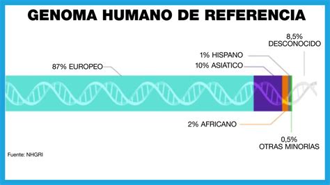 El nuevo pangenoma humano revela nuestra diversidad genética Salud