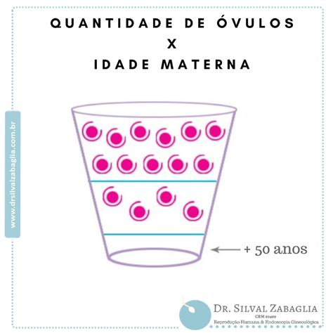 Quantos Óvulos A Mulher Tem - Quantidade de Óvulos X Idade Materna | Dr. Silval Zabaglia