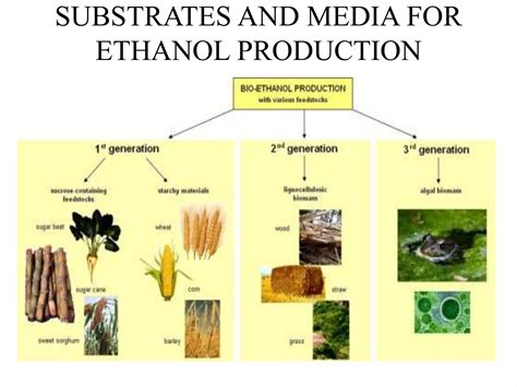 Ethanol production | PPT