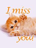 I Miss You Animation Cat Hand :: Miss You :: MyNiceProfile.com