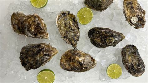 Pacific Oysters, each – citrusvalleyseafood