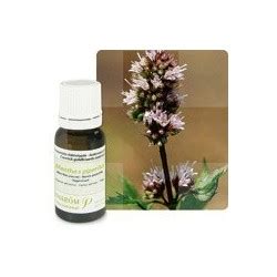 ACEITE ESENCIAL MENTA PIPERITA BIO PRANAROM 5 ML