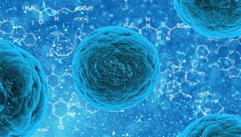 Fast Facts: Stem Cells 101 - Vital Record