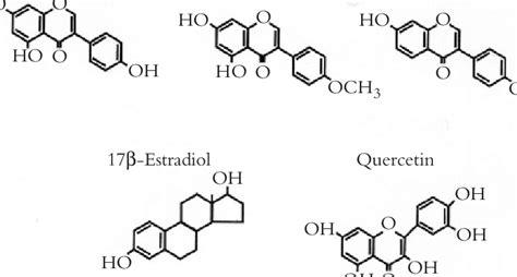 Chemical Structure Of Estradiol Quercetin Genistein Daidzein And