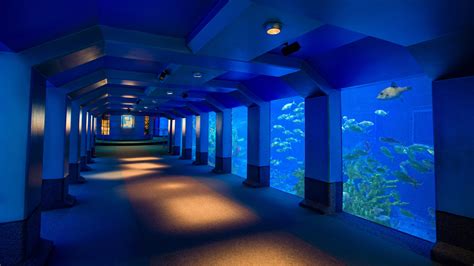 The Seas With Nemo And Friends Ride Epcot