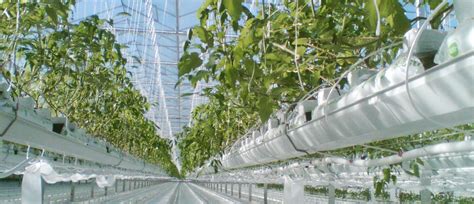 Bayer Orbia Netafim Expand Collaboration To Advance Digital Farming