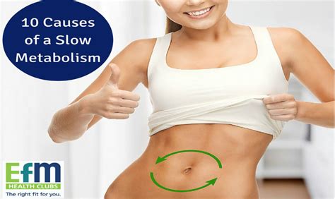 Causes Of A Slow Metabolism Efm Health Clubs