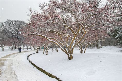 Winter in Seoul : Seoul's Romantic Snowy Landscape, A Winter Wonderland - Korean Prep