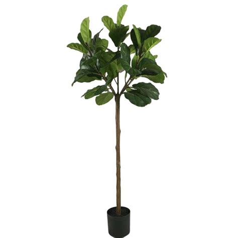 fiddle leaf fig tree faux 12