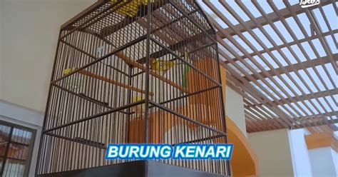 Intip Kolam Ikan Koi Milik Babe Cabita Letaknya Di Atas Garasi Mobil Kumparan