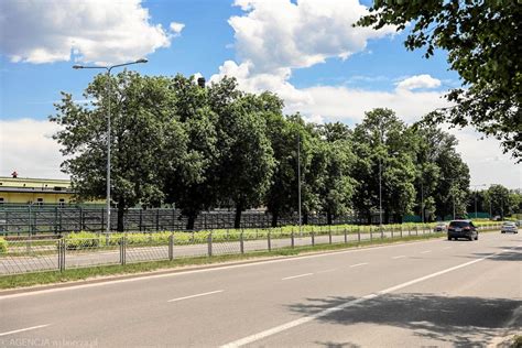 Miasto nie zgodziło się na wycinkę szpaleru drzew przez producenta