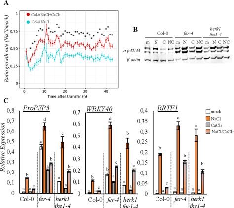 Figure 1 From Salinity Stress Induced Modification Of Pectin Activates