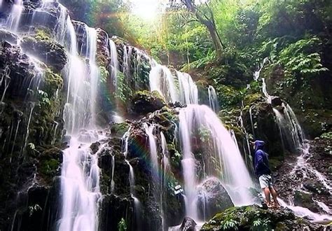 Tour A Las Cascadas De La Parte Norte De Bali Viajes Y Excursiones En