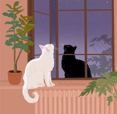 Two Cats Sitting On A Window Sill Looking Out At The Night Sky