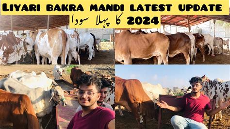 Lyari Bakra Mandi Karachi 2024 Ka Pehla Soda Ho Gaya Bhai 2 Lac M