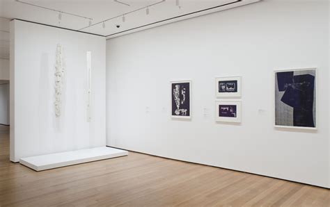 Installation View Of The Exhibition Abstract Expressionist New York Rock Paper Scissors Moma