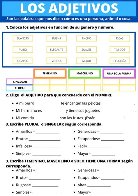 G Nero Y N Mero De Los Adjetivos Interactive Worksheet Adjetivos