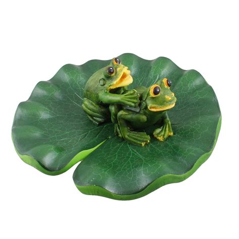 Frog Habitat Kit And Aquarium Set for Small Species