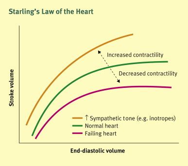 Cardiovascular Haemodynamics And Shock Surgery Oxford International