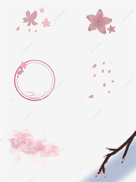 Romantic Cherry Blossoms White Transparent Cherry Blossom Romantic