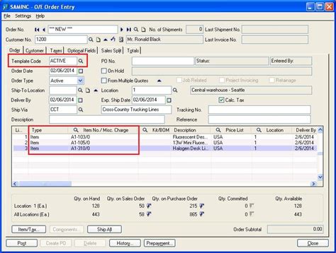 Populate Items On Order Entry Screen Using Template Code Sage 300 Erp