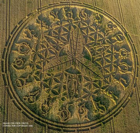 Newly Formed Crop Circle In The Uk Amazes Researchers