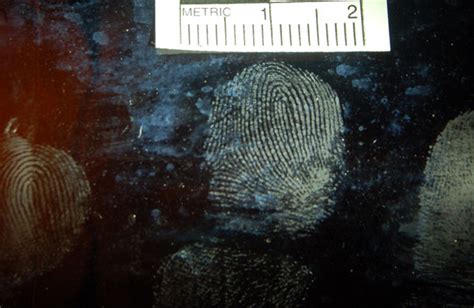 Fingerprint Analysis How Its Done