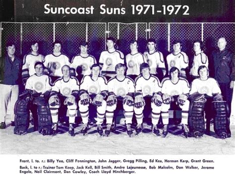 Tampa Bay S First Hockey Team Suncoast Suns The Hockey Writers