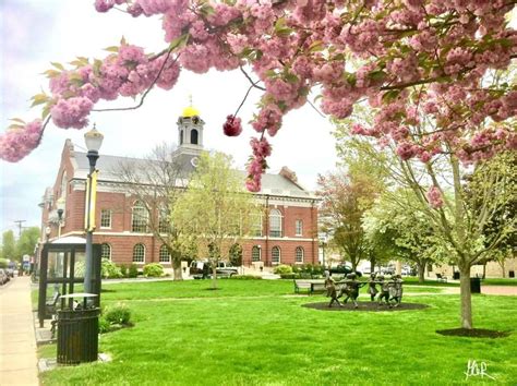 grading needham needham observer