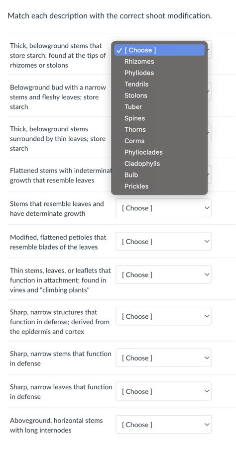 Solved Match Each Description With The Correct Shoot Chegg