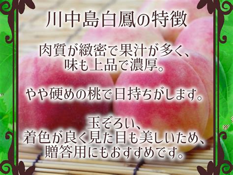 川中島白鳳6玉 ギフトボックス【2024年先行予約】【信州長野県川中島産】7月下旬より発送開始：長野県産の川中島白鳳｜食べチョク｜産地直送