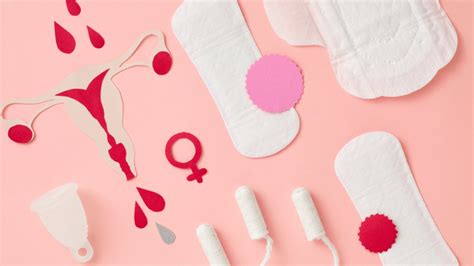 Ciclo Menstrual: Entenda as 4 Fases, Sintomas e Como Cuidar do Seu ...