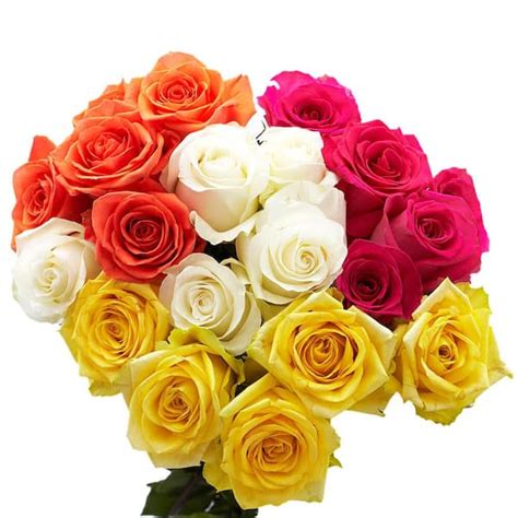 Globalrose Stems Fresh Cut Assorted Roses Solid Assorted Roses