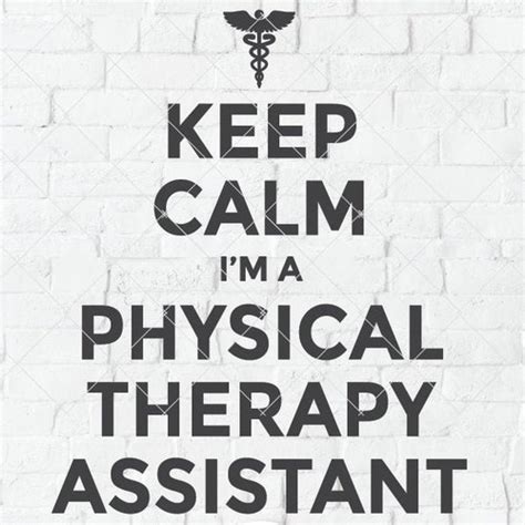 Physical Therapy Assistant Svg Physical Therapist Svg Pta Etsy