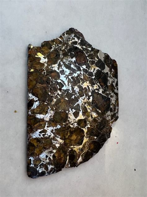 Pallasite Meteorite Slice Southwest Meteorite Laboratory