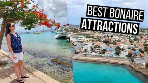 Bonaire Travel Guide The Best Things To See And Do In Bonaire Youtube