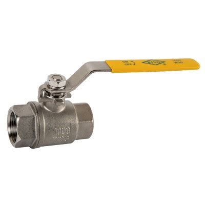 Two Pieces Stainless Steel Ball Valve Fig