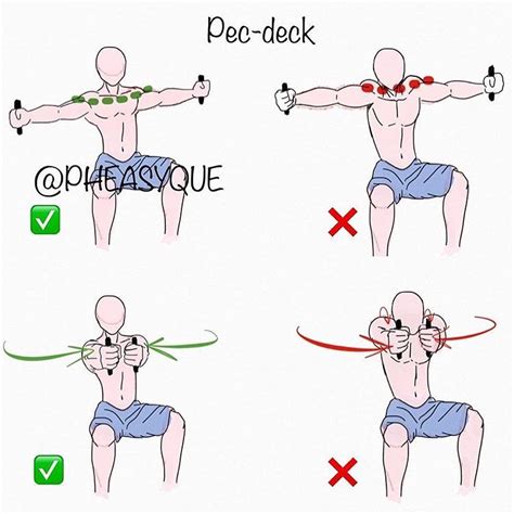 How to Perfect Pec Deck | Exercise Videos & Guides