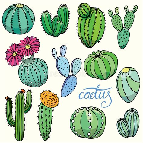 Sistema De Cactus Dibujados Mano Aislados Ilustración del Vector