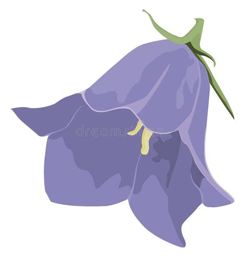 Колокольчик Цветок Картинки Для Детей - 64 фото