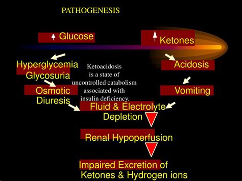 PPT Diabetic Ketoacidosis Hyperosmolar Hyperglycemic State