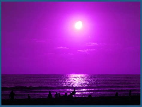 Purple Ocean | Tropical Paradise Beach