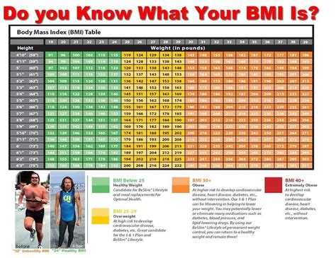 Bmi Calculator Nutrition Guide Diet Plan Diet Review - Riset