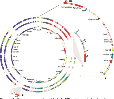 Figure 2 1 From Genomic Characterization Of Salmonella Free Living