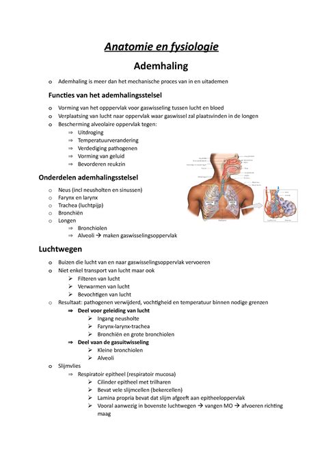 Anatomie En Fysiologie Ademhaling Anatomie En Fysiologie Ademhaling O